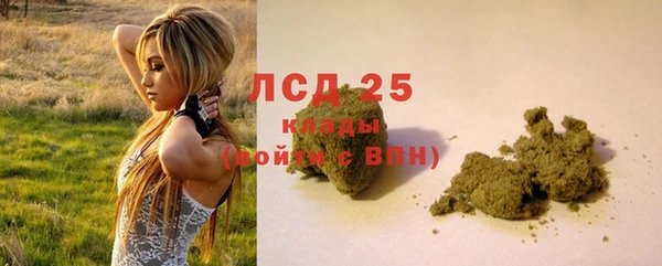 PSILOCYBIN Заволжье