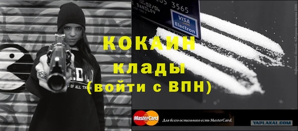 крисы Абаза