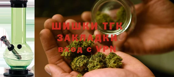 крисы Абаза