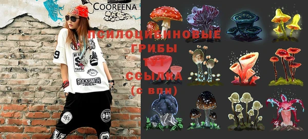крисы Абаза