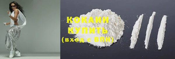 крисы Абаза