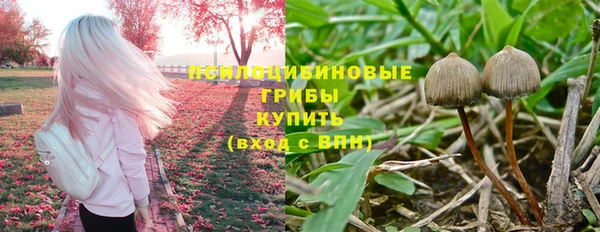 крисы Абаза