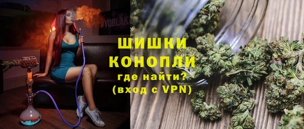 крисы Абаза